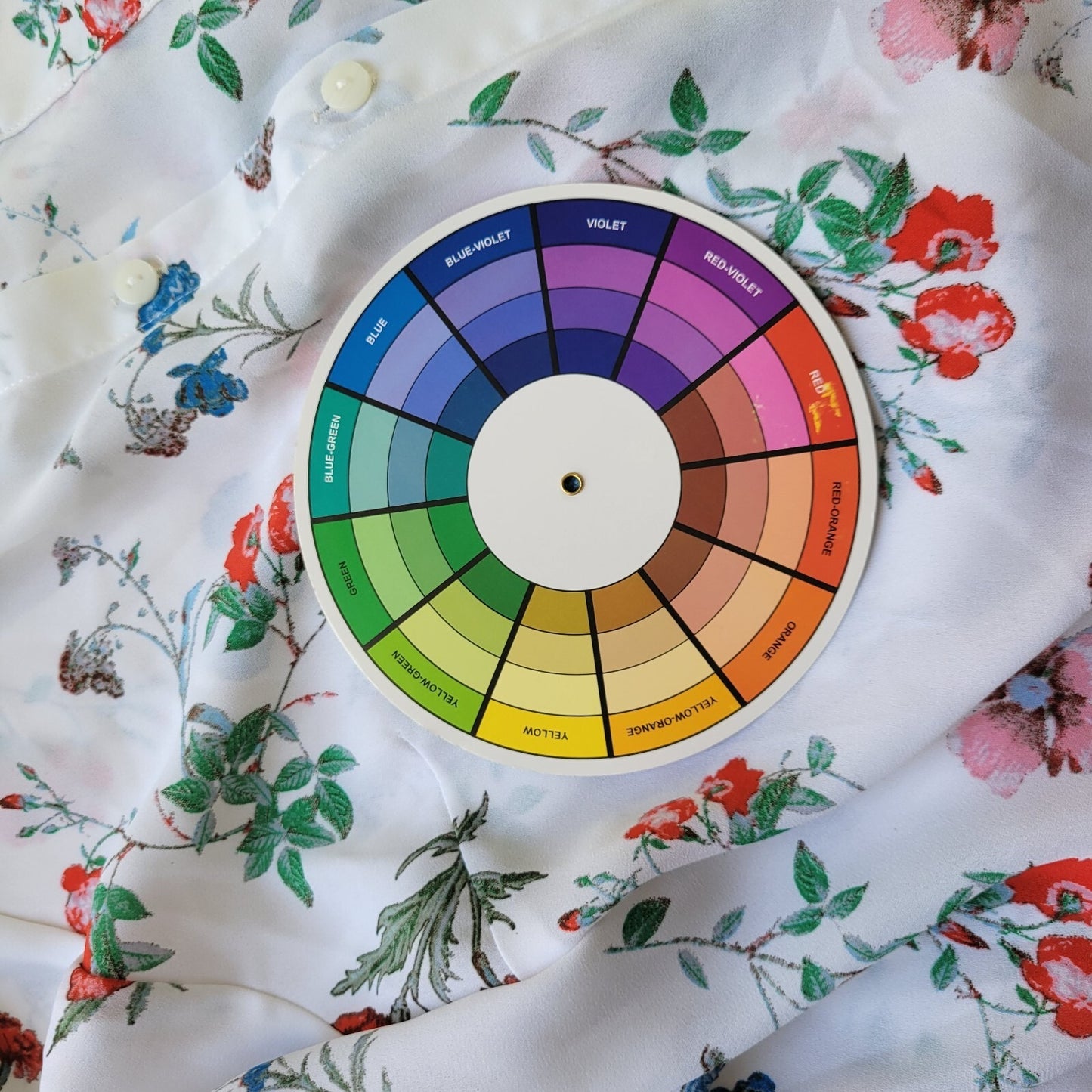 Valerie Stevens Womens Top XL Sleeveless Blue Red Floral Button Up Sheer Casual