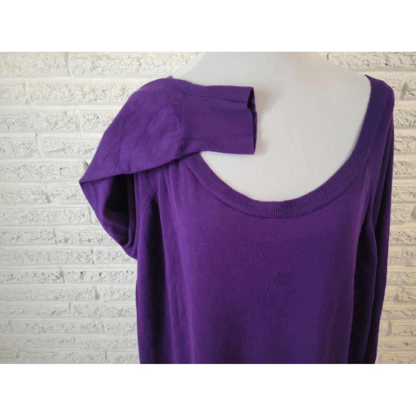 Lane Bryant Women Sweater 26 28 Plus Pullover Long Sleeve Purple Career Casual