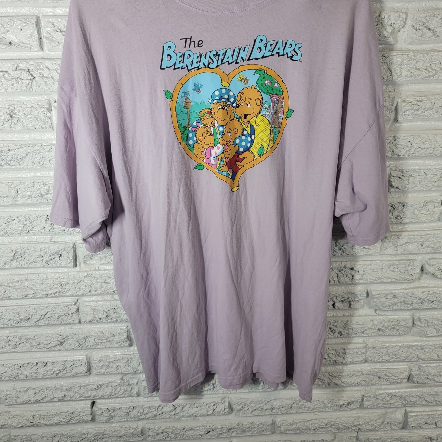 Bearenstain Bears One Size Tee Womens 1X Plus Muted Lavender Graphic Cotton Crew