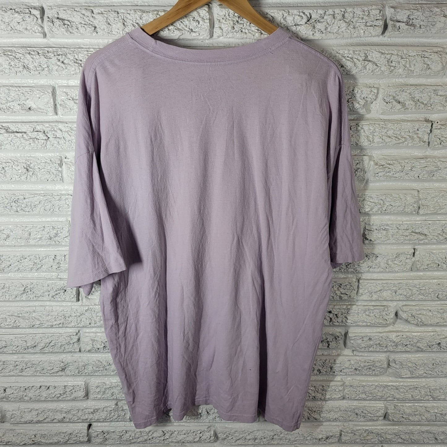 Bearenstain Bears One Size Tee Womens 1X Plus Muted Lavender Graphic Cotton Crew