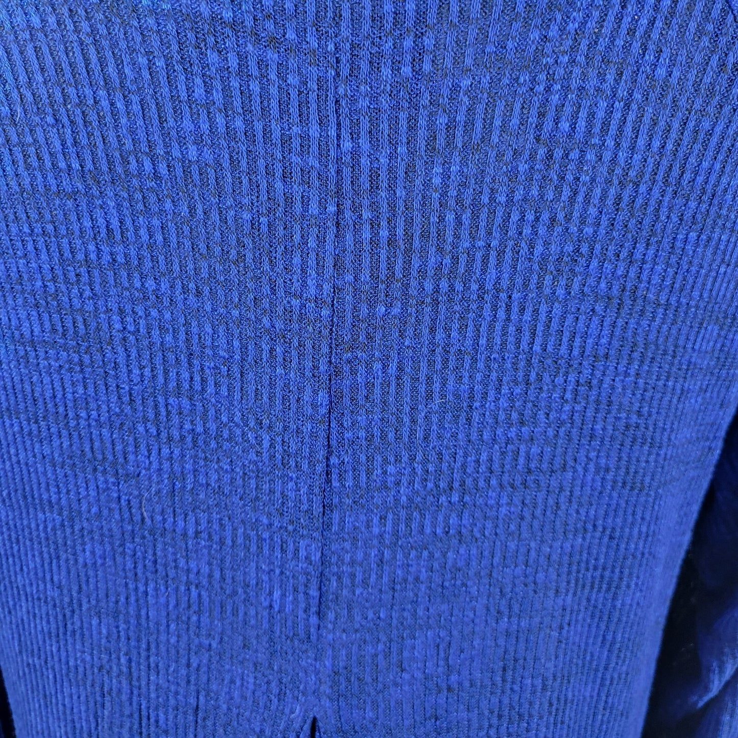 Ana Women Sweater Extra Large XL Long Sleeve Tunic Blue Lightweight Casual Sheer