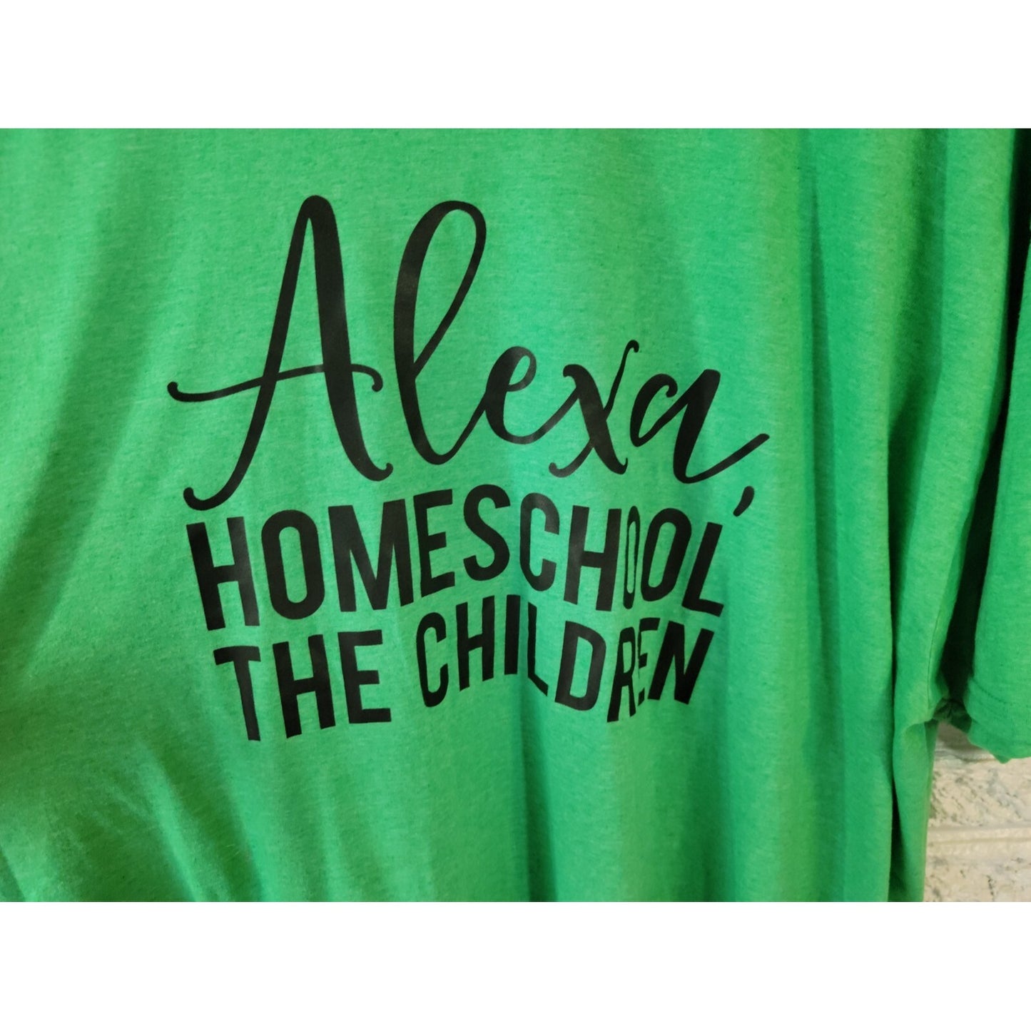 Gildan Homeschool the Children Alexa Womens Top 3XL Plus Tee Green Homeschooling