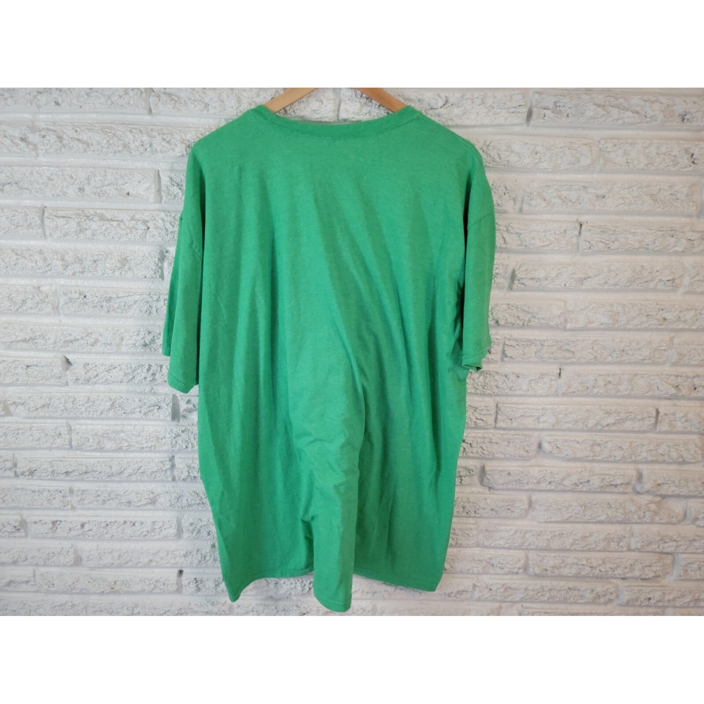 Gildan Homeschool the Children Alexa Womens Top 3XL Plus Tee Green Homeschooling