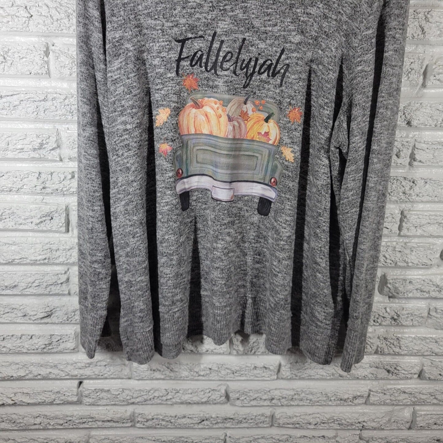 Cato Est 1946 Womens Top 18W 20W Plus Fallelujah Pumpkins Autumn Glitter Soft