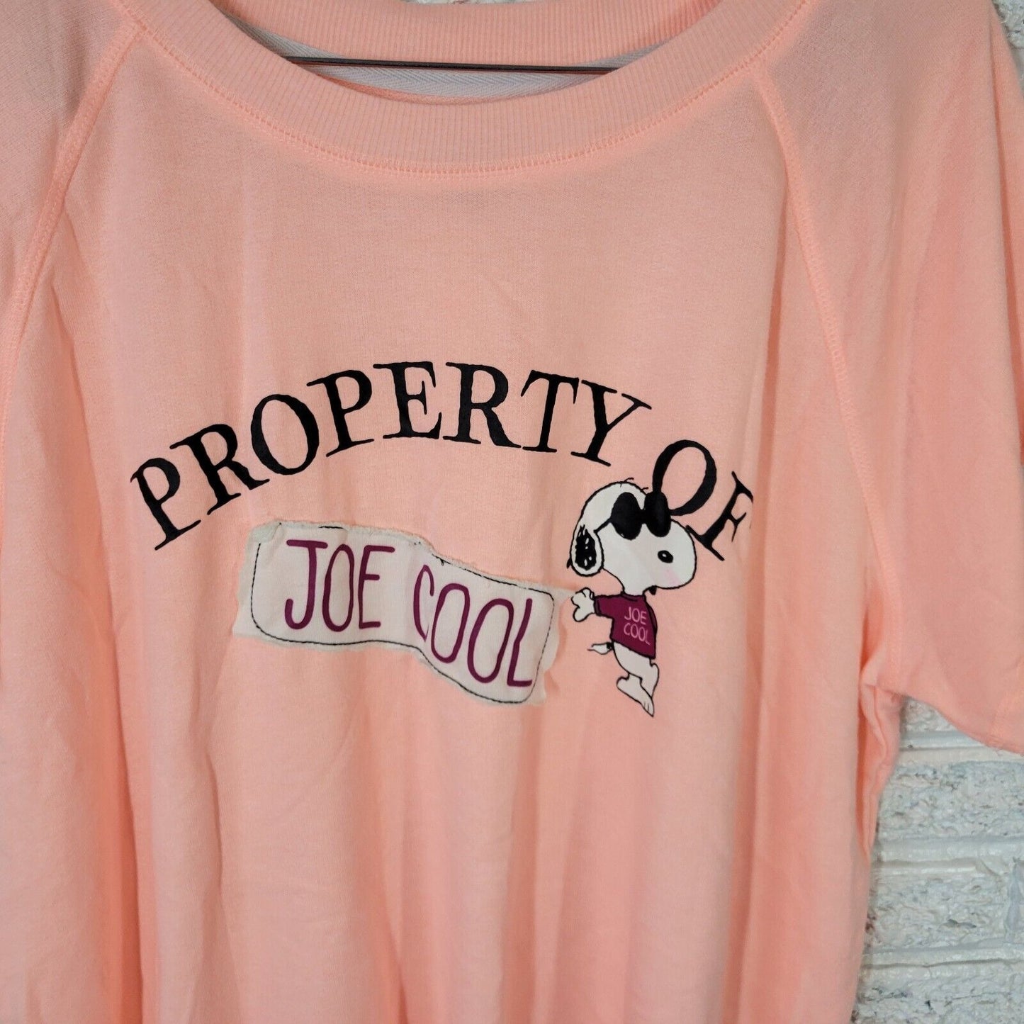 Peanuts Snoopy Womens Top 2X 18W 20W Plus Tee Knit Pink Joe Cool Lightweight