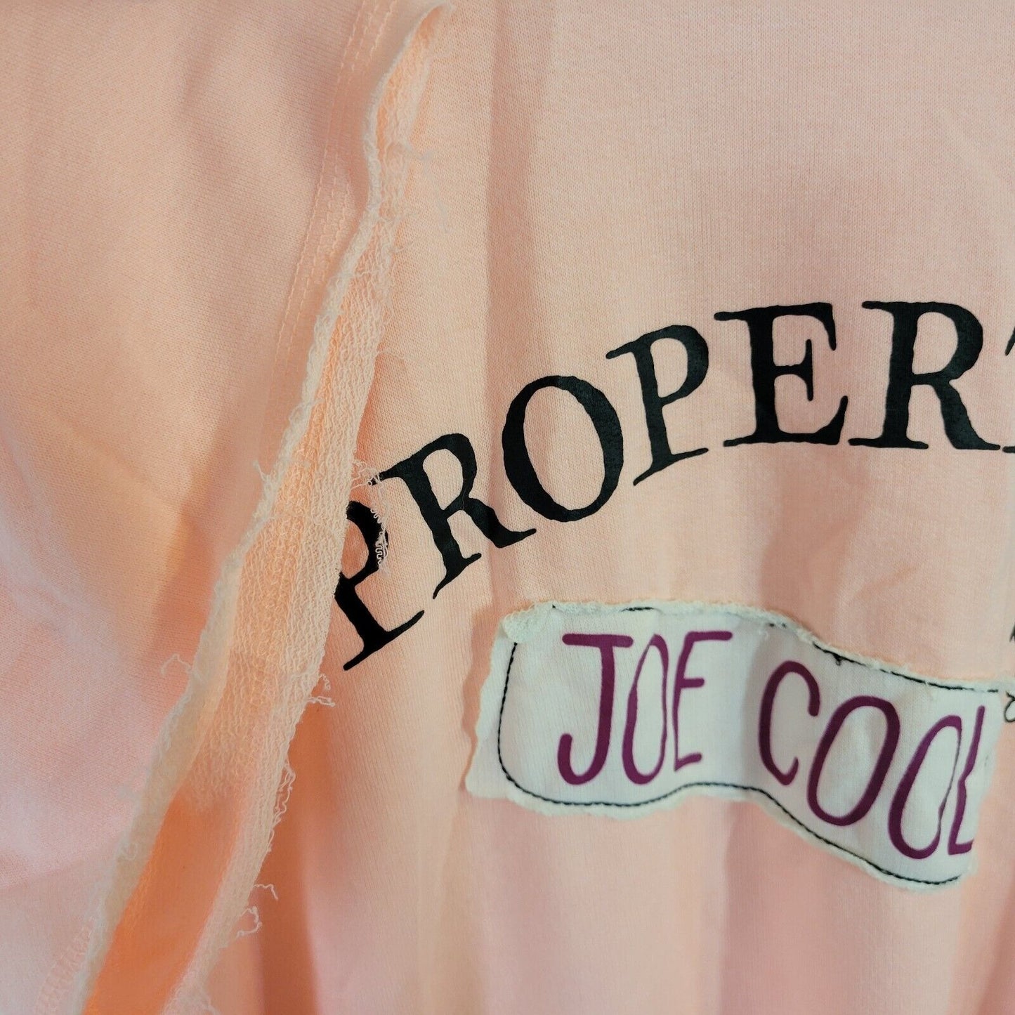 Peanuts Snoopy Womens Top 2X 18W 20W Plus Tee Knit Pink Joe Cool Lightweight