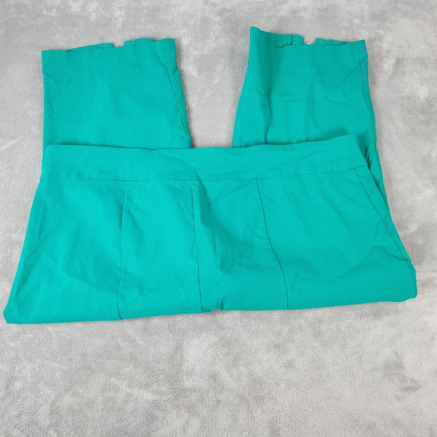 Zac Rachel Womens Pants 22W Capri Pull On Tank Super Stretchy Embellished Hem