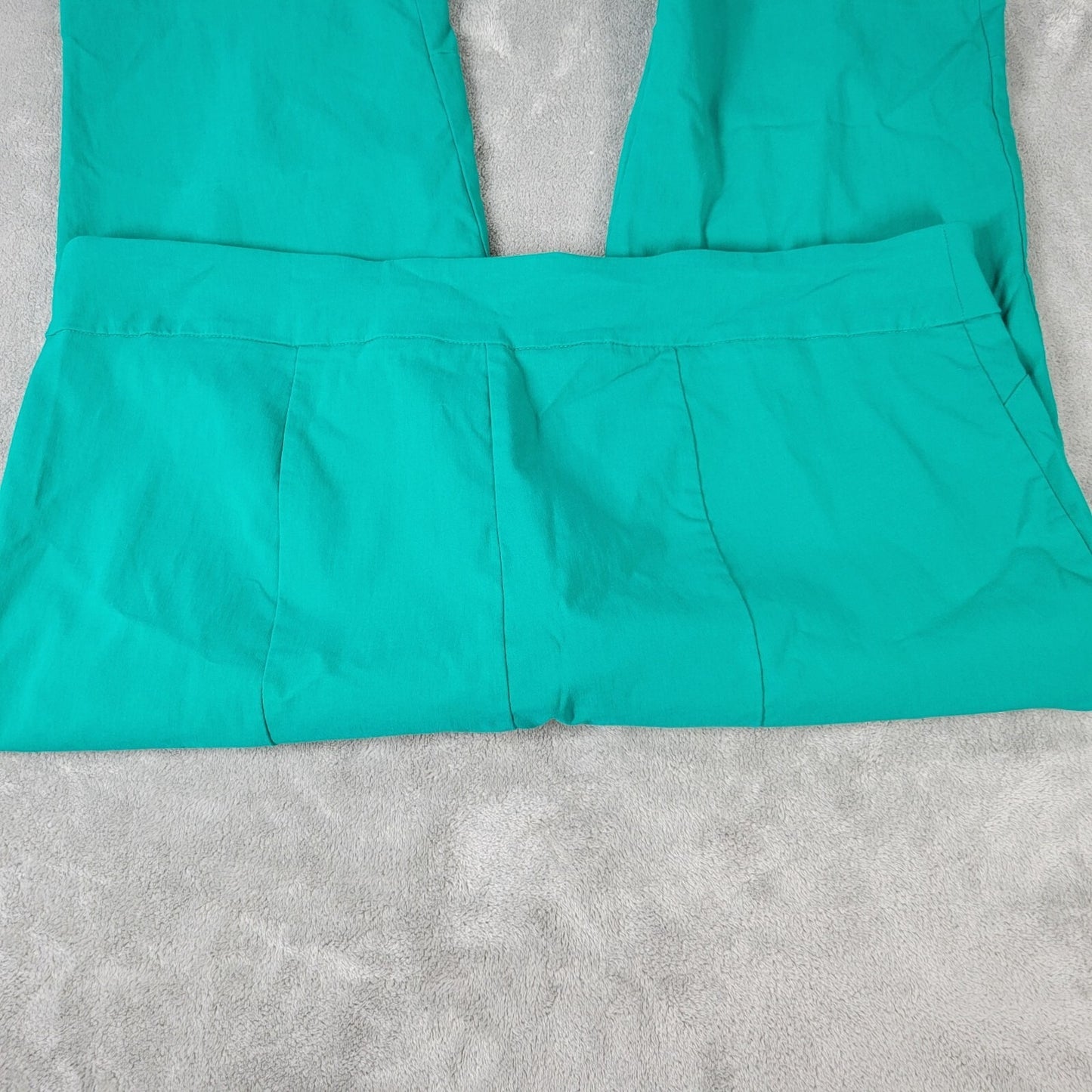 Zac Rachel Womens Pants 22W Capri Pull On Tank Super Stretchy Embellished Hem