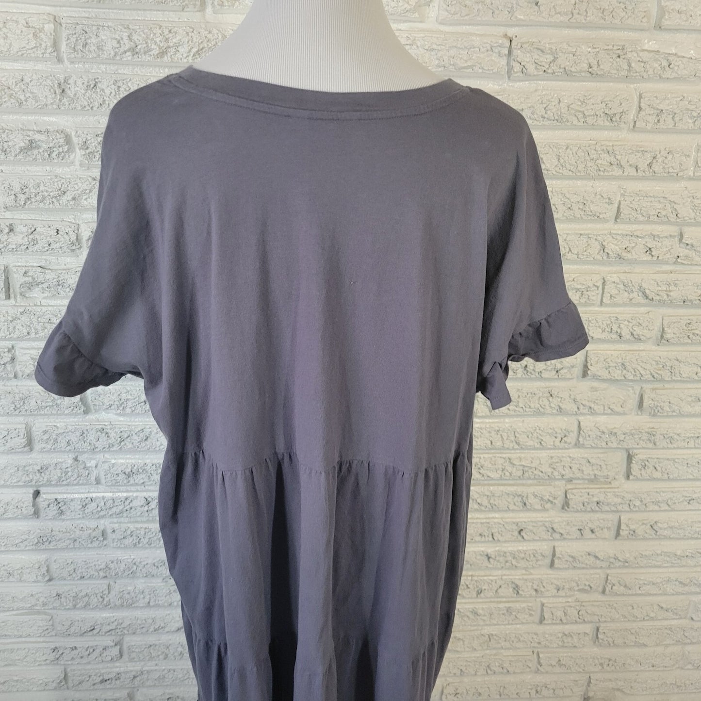 Time Tru Womens Dress XXL 20 Plus Mini Short Sleeve Gray Cotton Ruffle Comfy