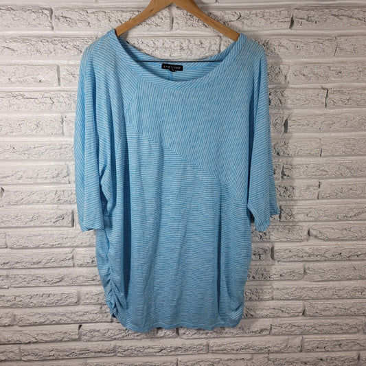 Lane Bryant Womens Top 22 24 Plus Tee Blue White Stripe Lightweight Casual Comfy