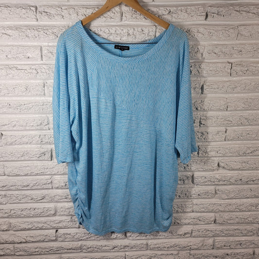 Lane Bryant Womens Top 22 24 Plus Tee Blue White Stripe Lightweight Comfy Casual