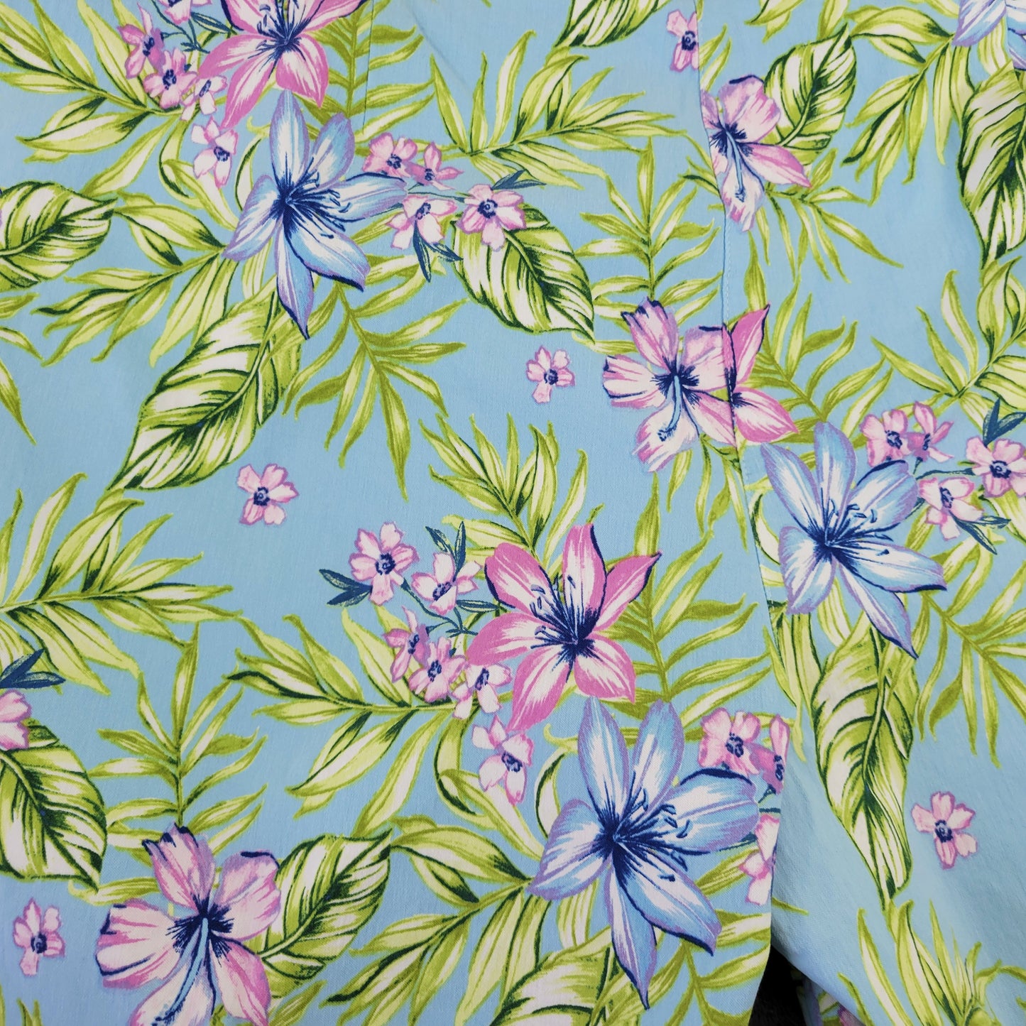 Coral Bay Women 24W Shorts Blue Purple Floral Pull On Stretch 10" Inseam FLO247E