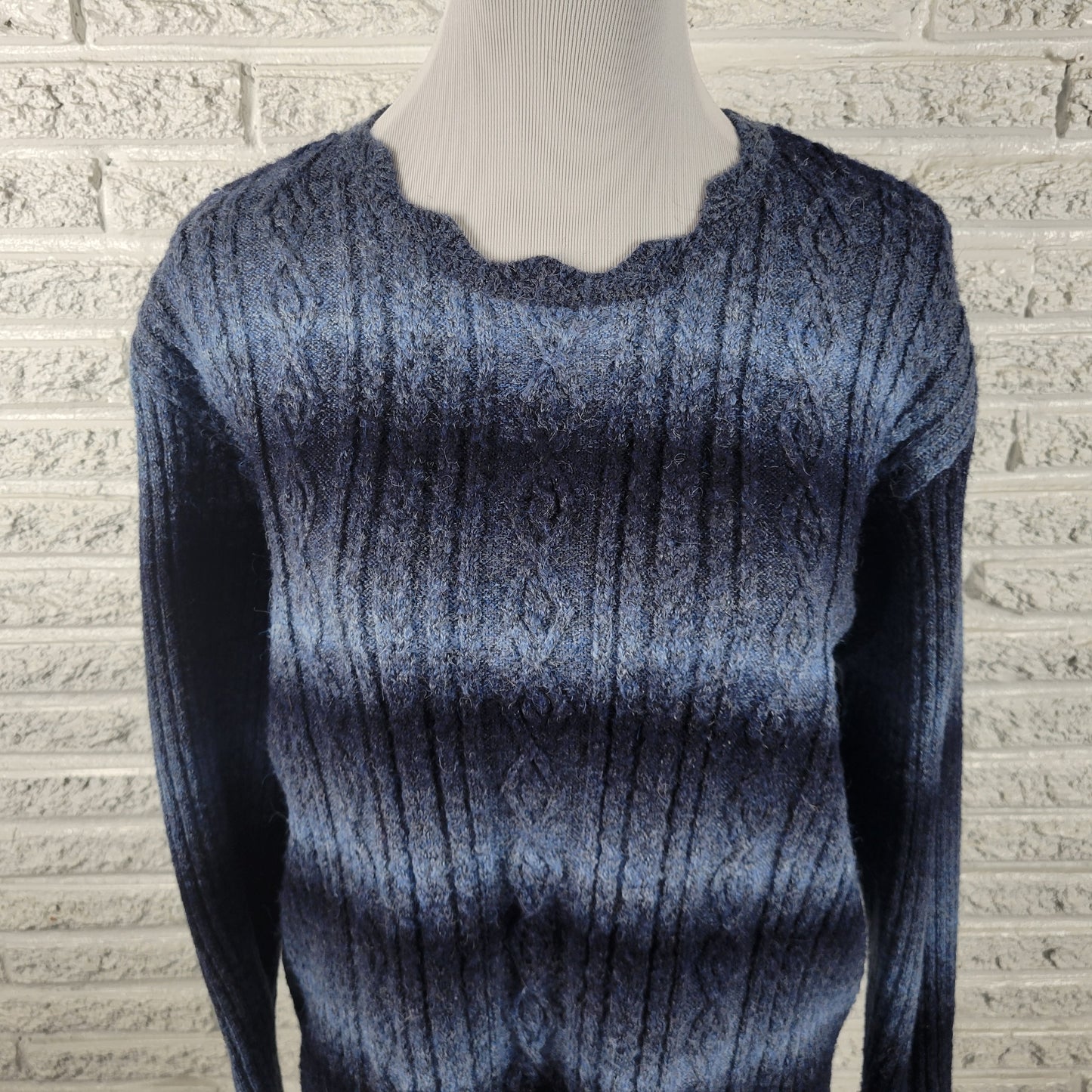 Alfred Dunner Plus 1X Blue Cable Knit Sweater Crew Neck Long Sleeve SWE34E