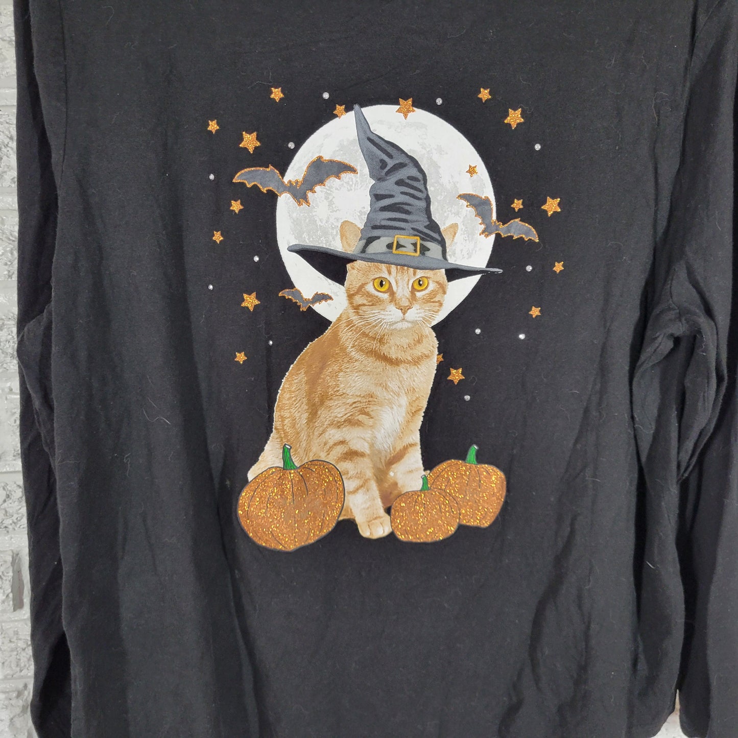 Celebrate Halloween Tee 2X Black Long Sleeve Cotton Glitter Witch Cat BLA60E