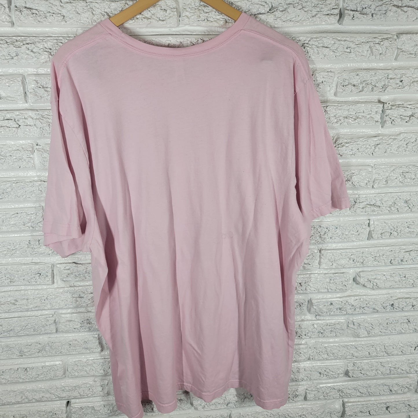 Bella Canvas Womens 4XL Pink Graphic T Shirt Distressed Red Alphabet PIN15E