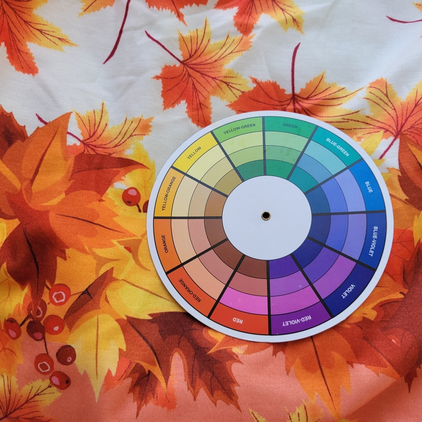 Autumn Leaves Berries Women Top 2XL Plus Tee Long Sleeve Polyester Orange White