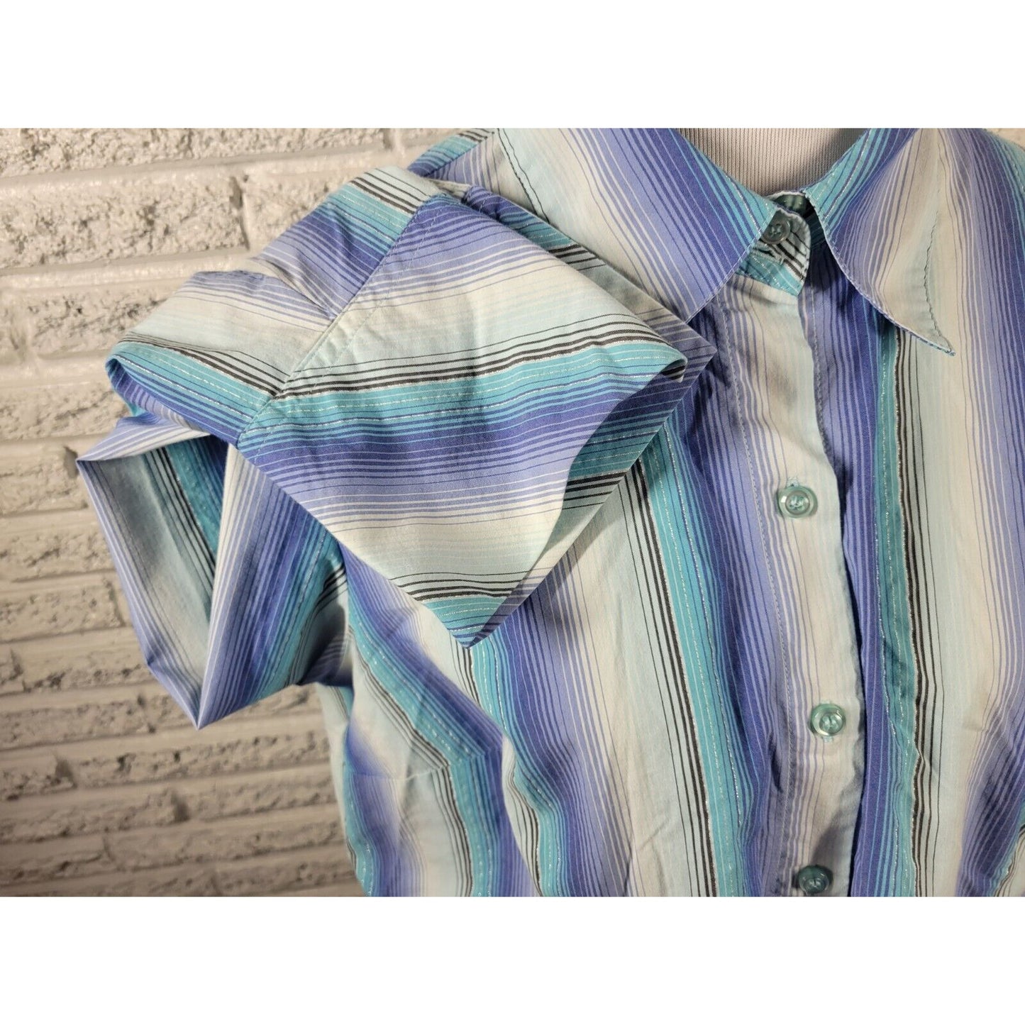 Lane Bryant Womens Top 18 20 Plus Long Sleeve Blue Stripe Office Collar Button