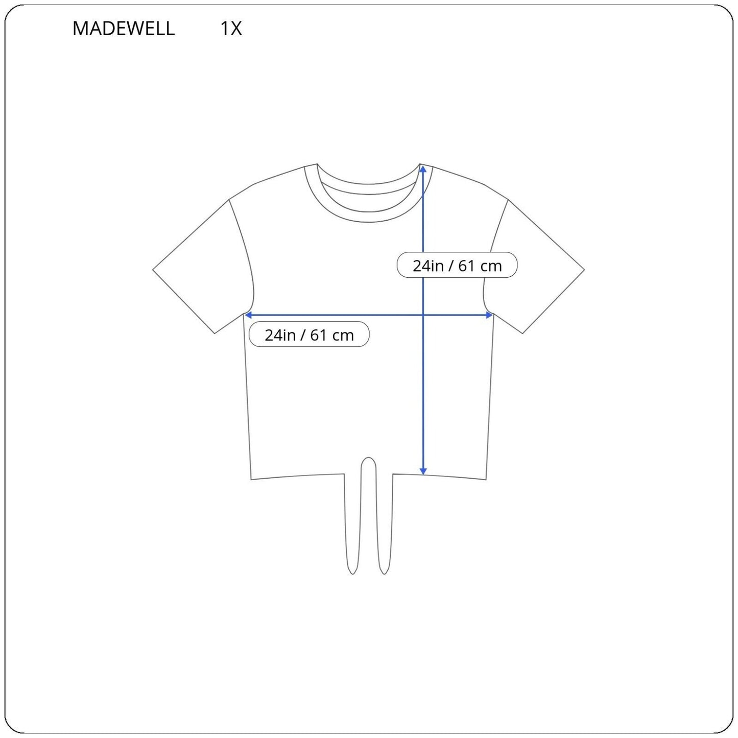 Madewell Womens Top 1X Crop Ruffle Sleeve Casual Tied Hem Seersucker Blue Plaid