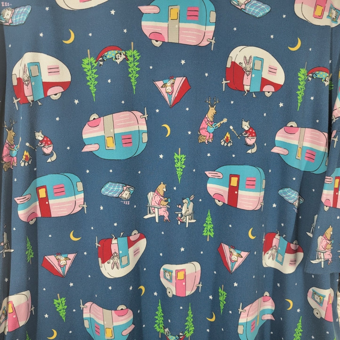 Secret Treasures Women's 2X 3X Plus Nightgown Blue Bunnies Camping NOV22XE