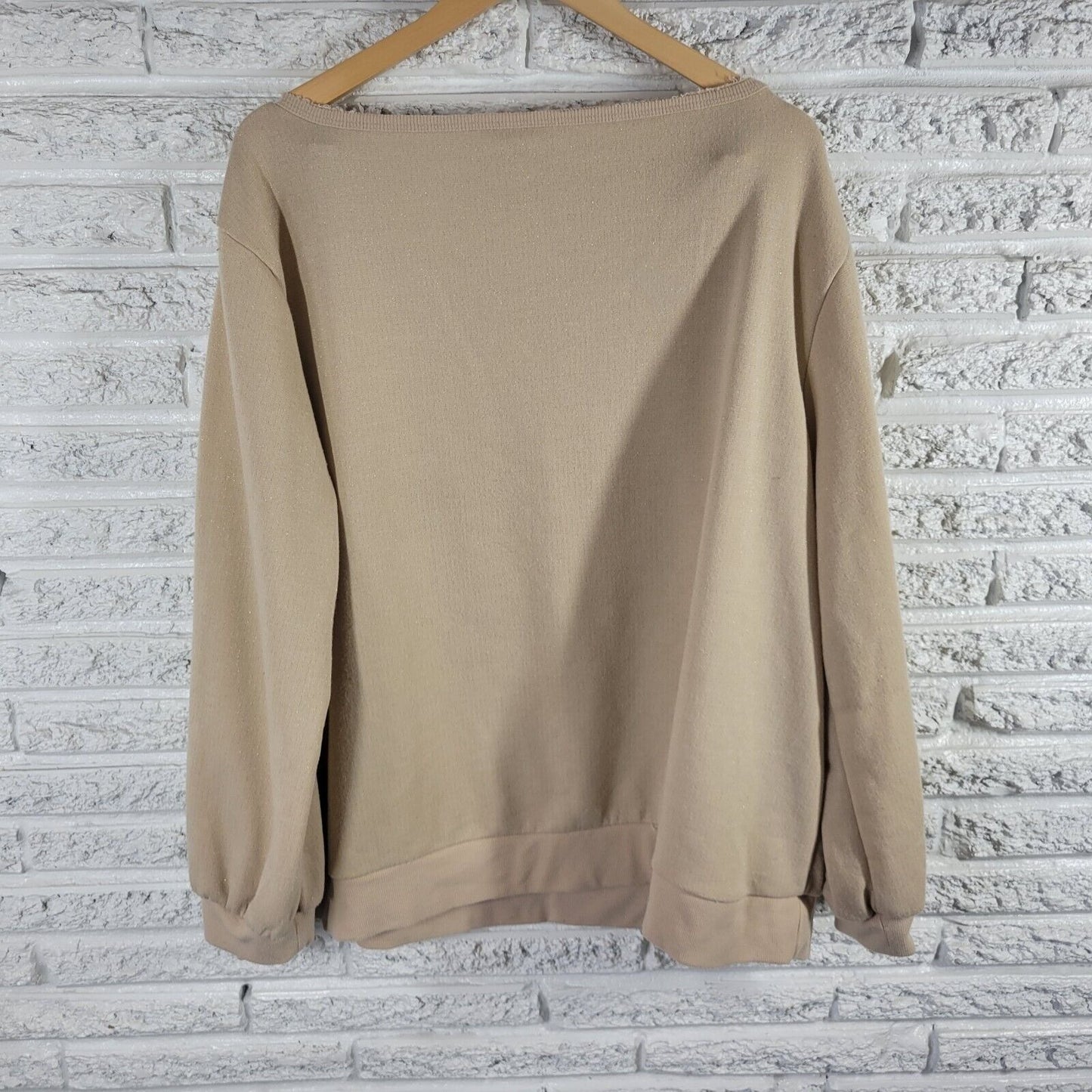 Cato Est 1946 Womens Sweatshirt 22W 24W Plus Beige 3D Mittens Stay Cozy Metallic