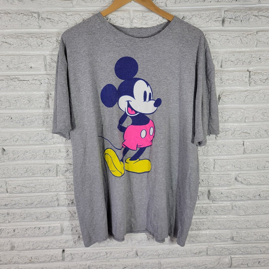 Disney Mickey Mouse Women's 2XL Plus Size Gray Top Short Sleeve  NOV82E