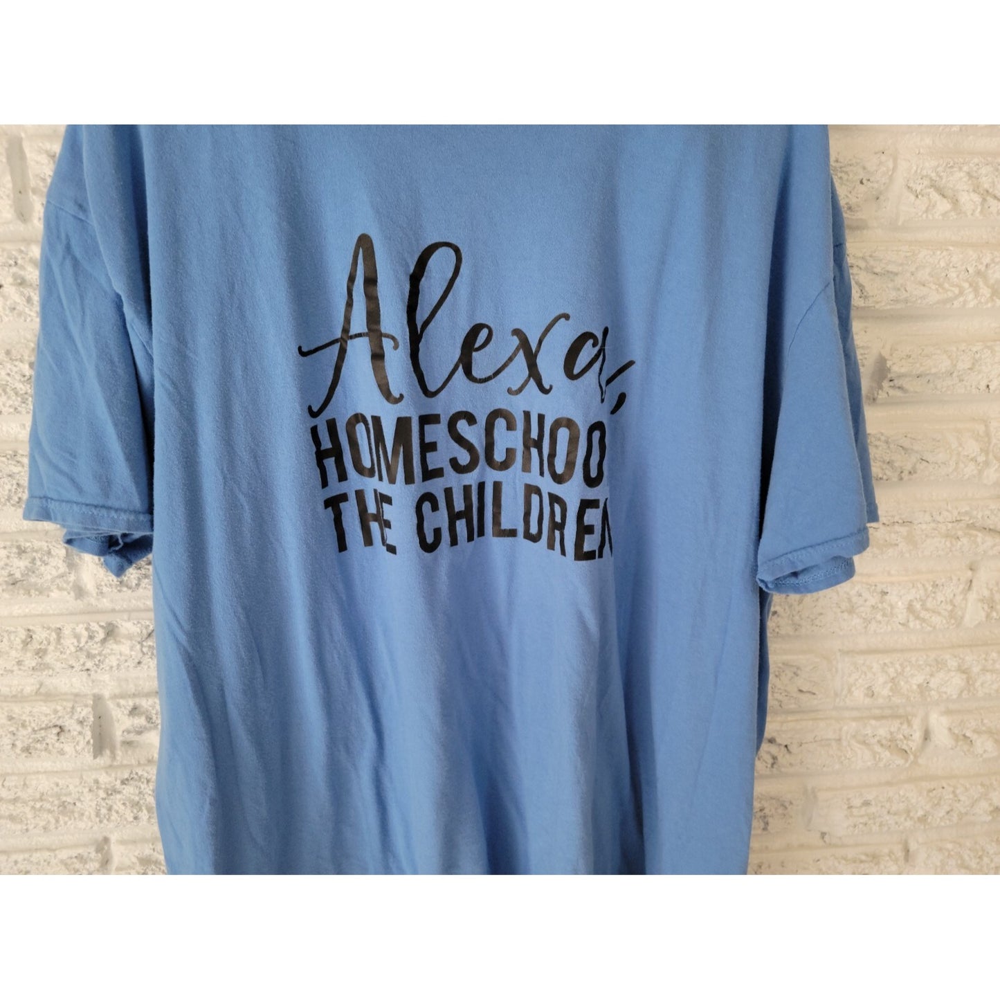 Gildan Womens Top 3XL Plus Tee Alexa Homeschool the Children Blue Homeschooling