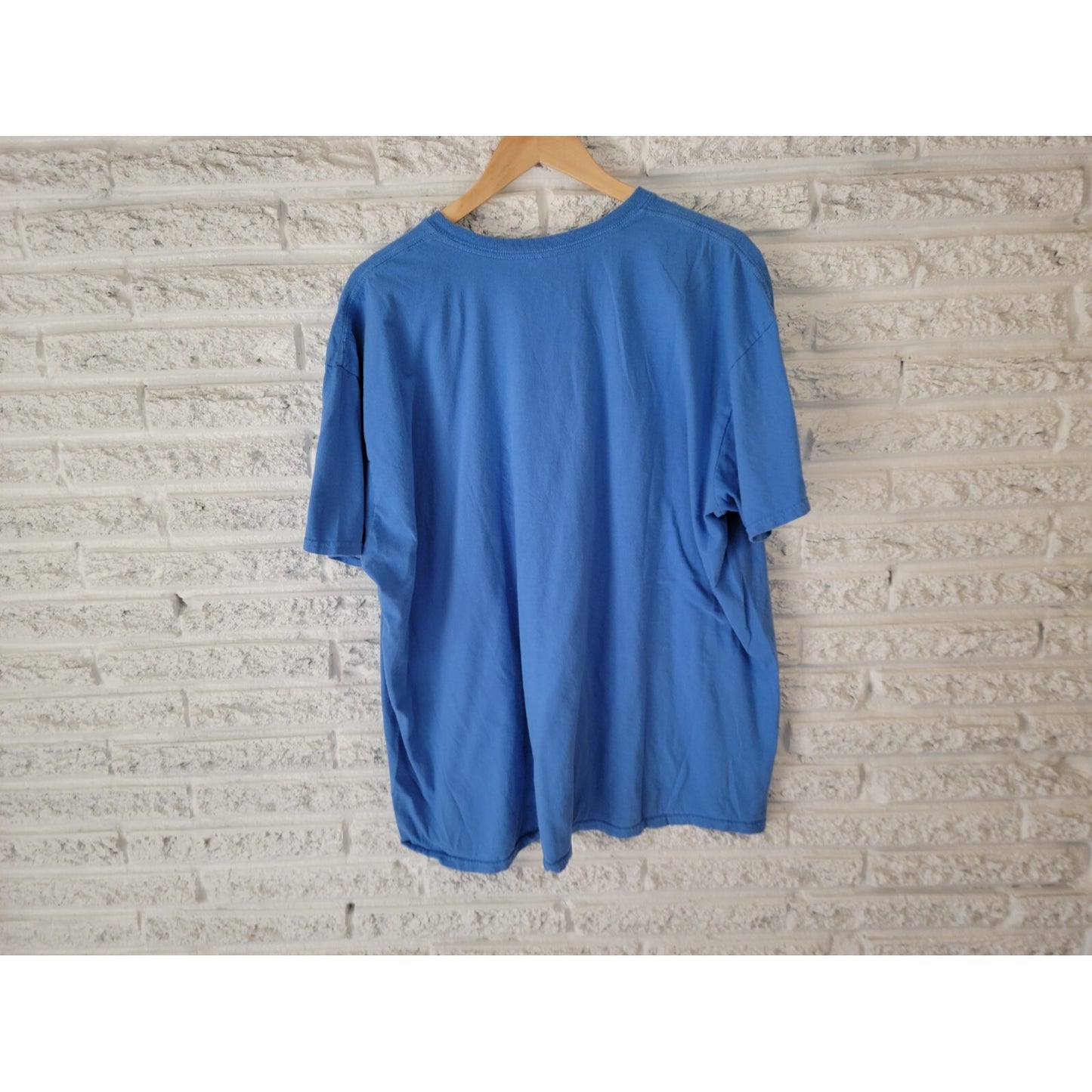 Gildan Womens Top 3XL Plus Tee Alexa Homeschool the Children Blue Homeschooling