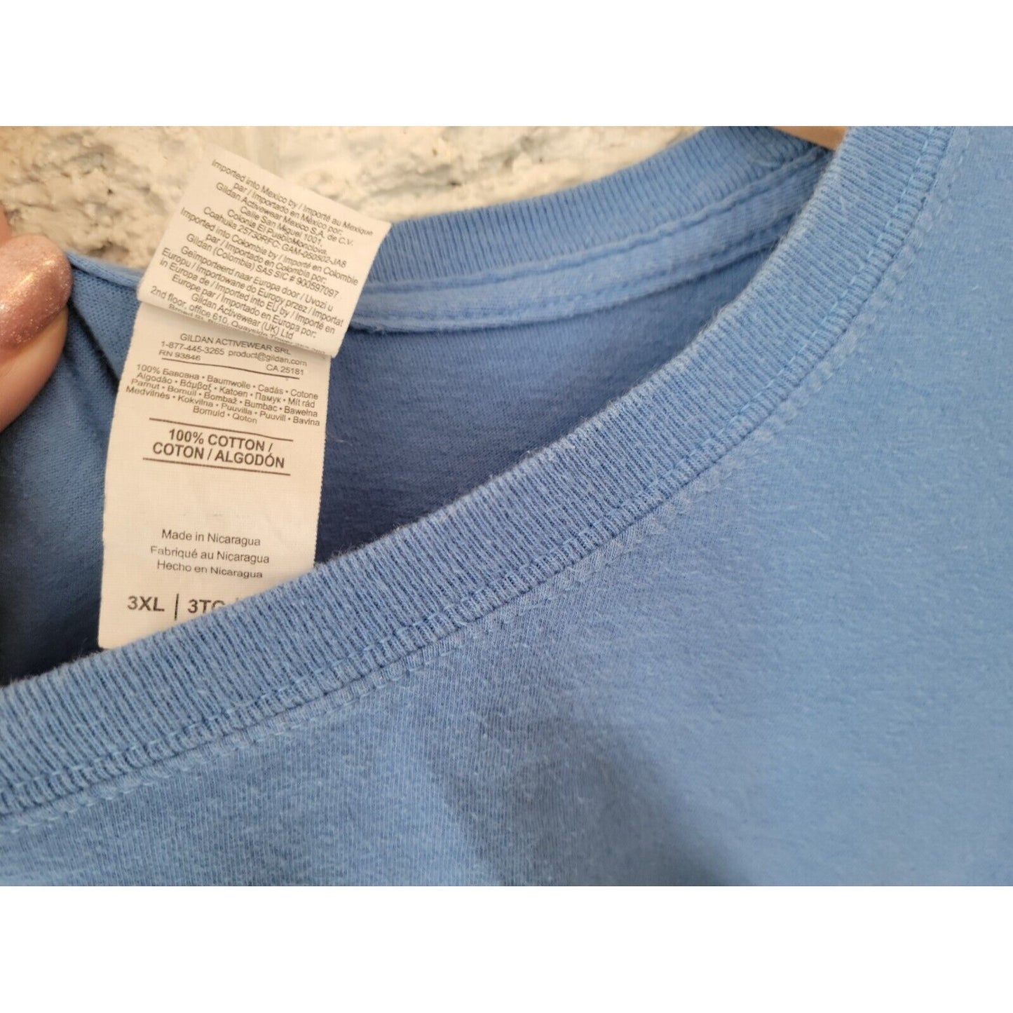 Gildan Womens Top 3XL Plus Tee Alexa Homeschool the Children Blue Homeschooling