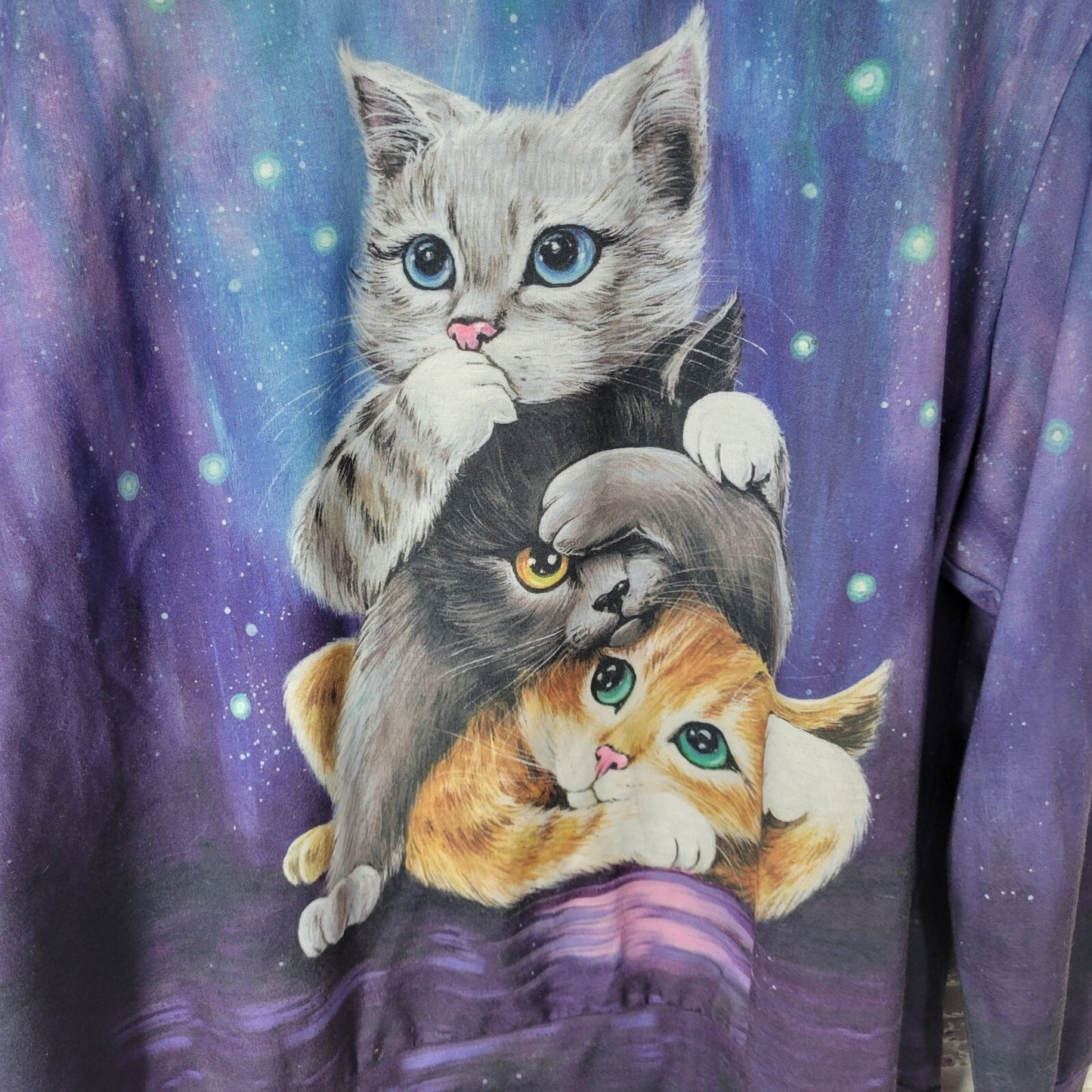 Cats Kittens Womens Top 1XL Plus Tee Long Sleeve Blue Comfy Poly Blend Crew