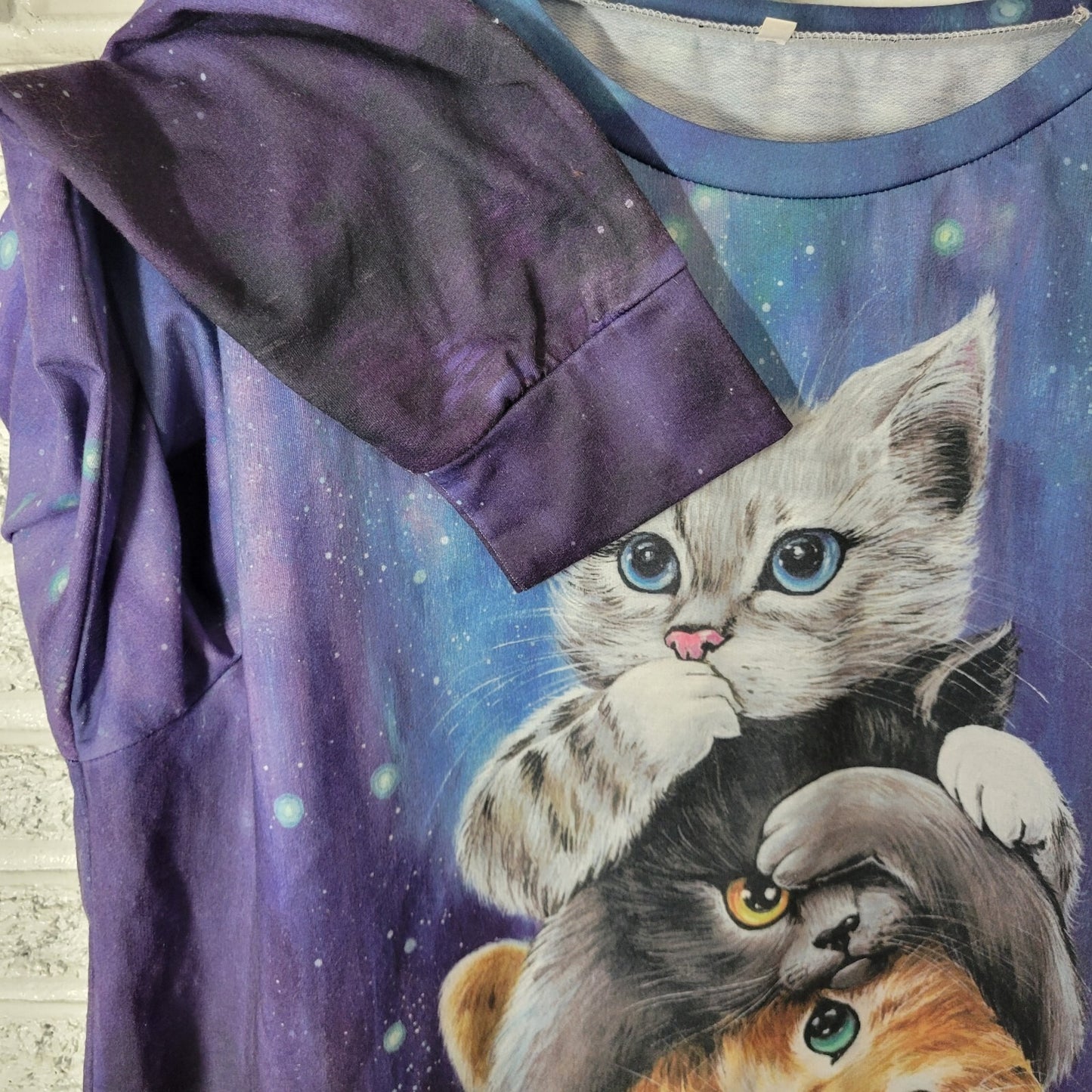 Cats Kittens Womens Top 1XL Plus Tee Long Sleeve Blue Comfy Poly Blend Crew
