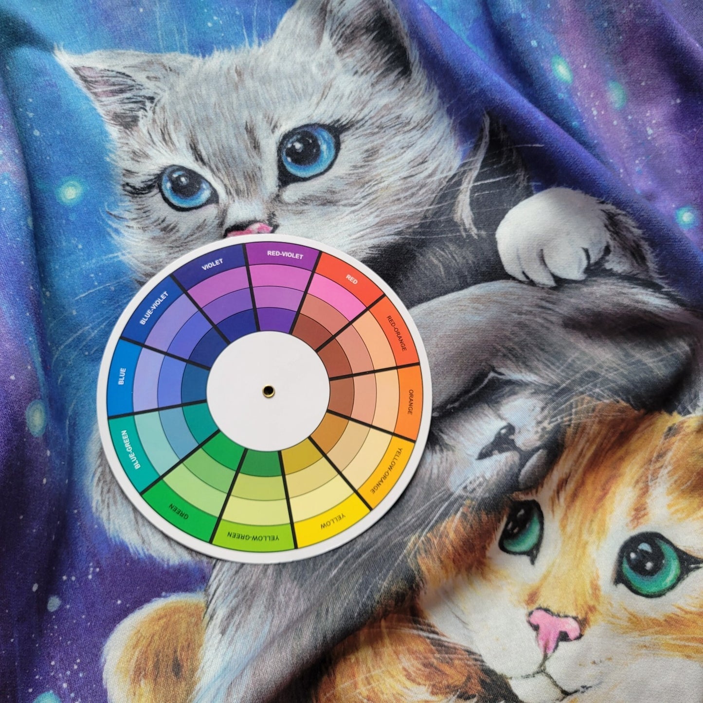 Cats Kittens Womens Top 1XL Plus Tee Long Sleeve Blue Comfy Poly Blend Crew