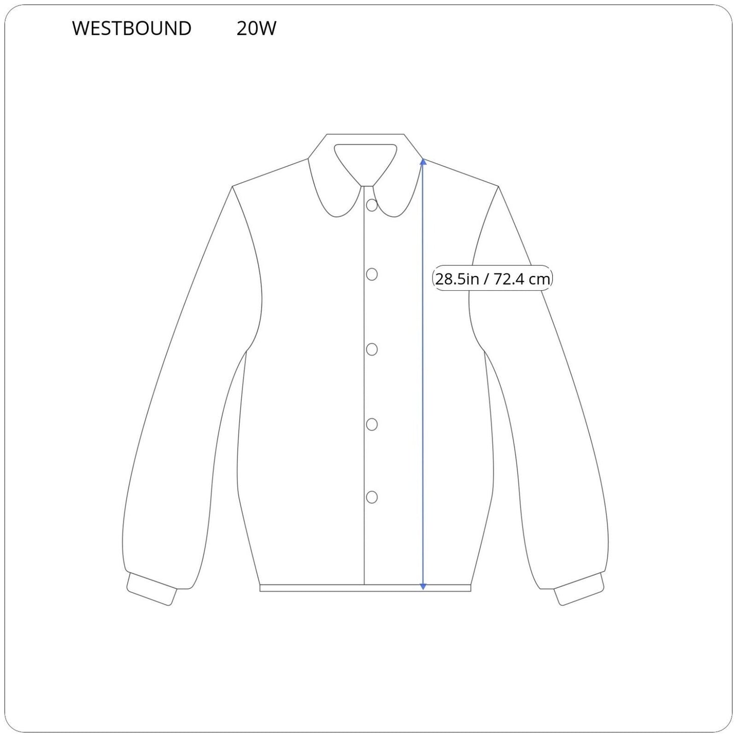 Westbound Womens Top 20W Plus Collar Button Up Wrinkle Free Cotton Blue Floral