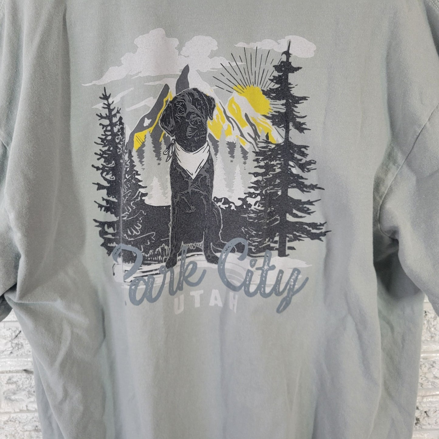 Comfort Colors Womens Top XL Tee Short Sleeve Park City Utah Labrador Souvenir
