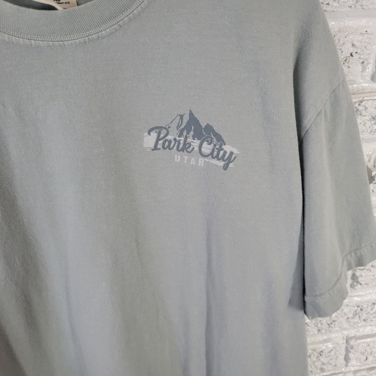 Comfort Colors Womens Top XL Tee Short Sleeve Park City Utah Labrador Souvenir